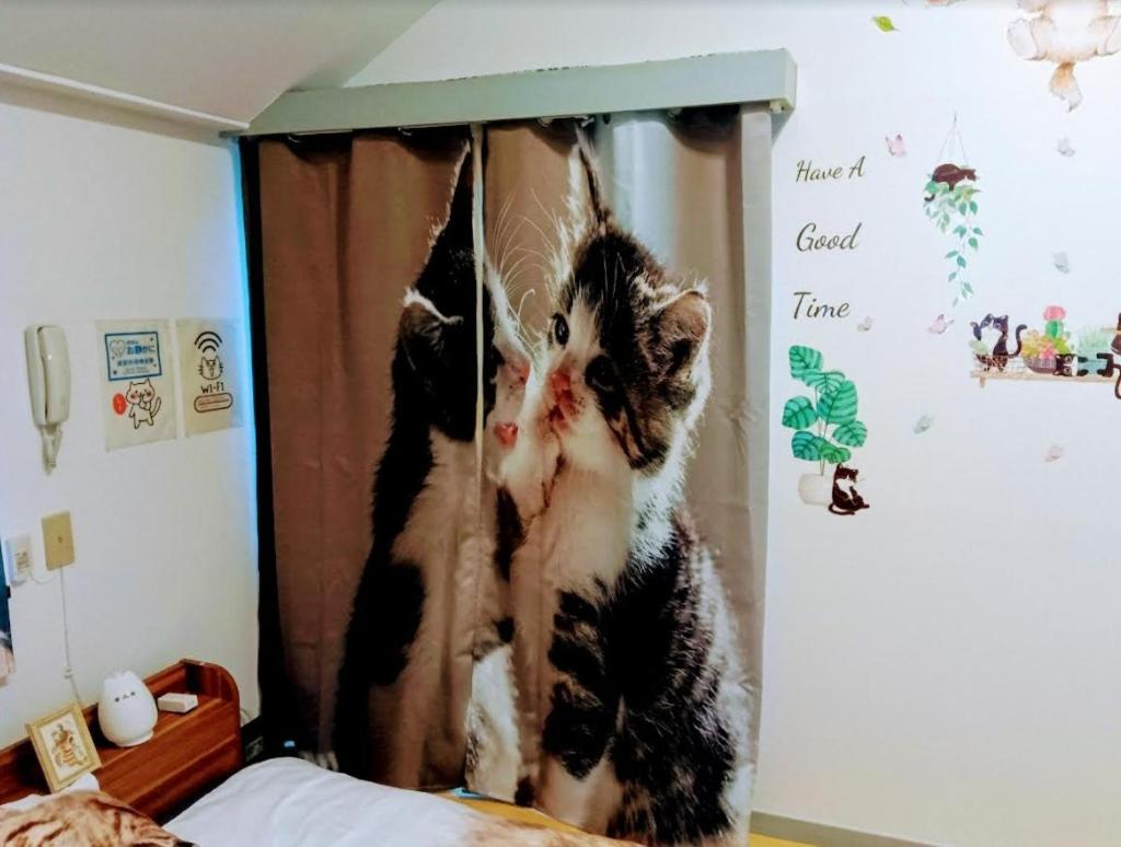شقة Tokyo Shibuya Shinjyuku Cat House ! المظهر الخارجي الصورة