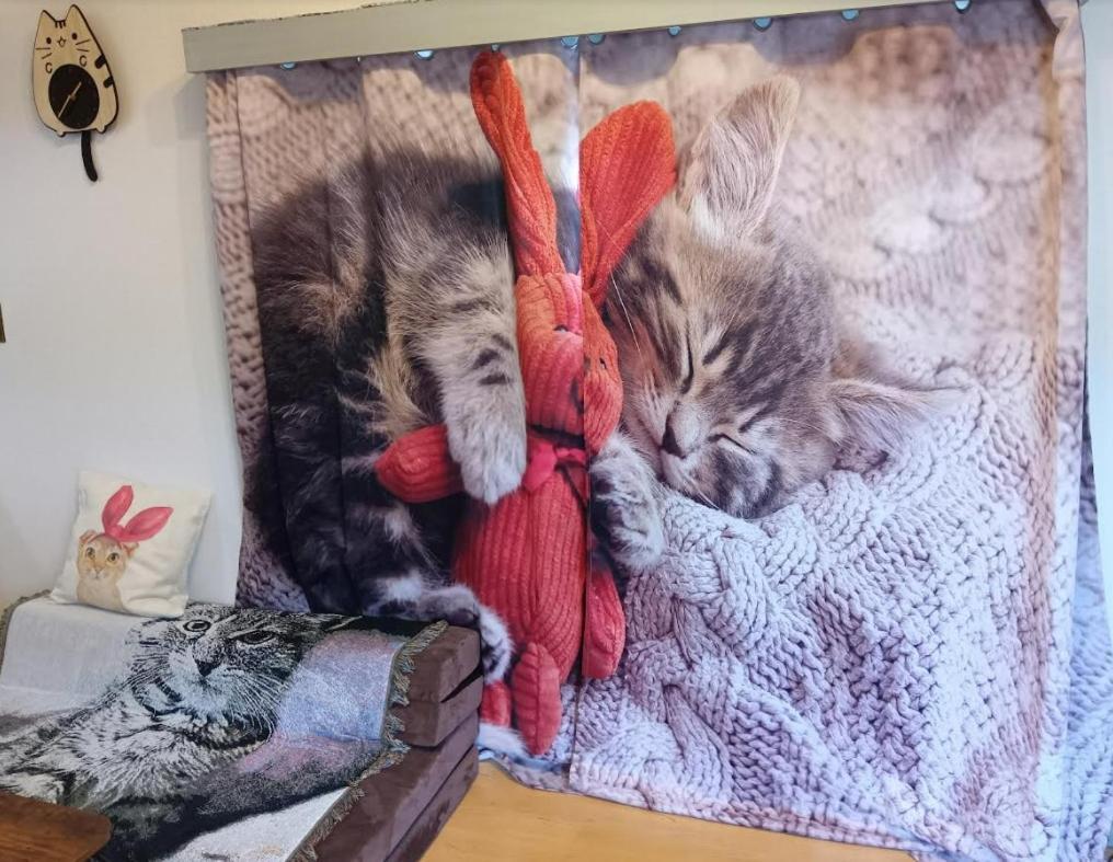 شقة Tokyo Shibuya Shinjyuku Cat House ! المظهر الخارجي الصورة