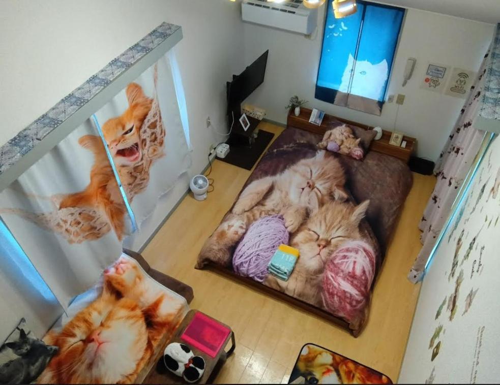 شقة Tokyo Shibuya Shinjyuku Cat House ! المظهر الخارجي الصورة