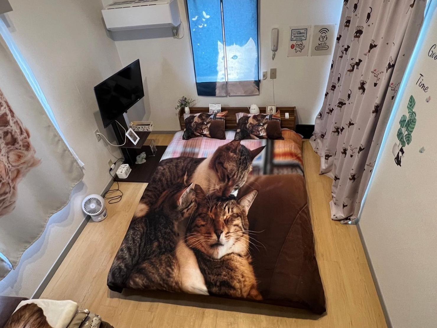 شقة Tokyo Shibuya Shinjyuku Cat House ! المظهر الخارجي الصورة