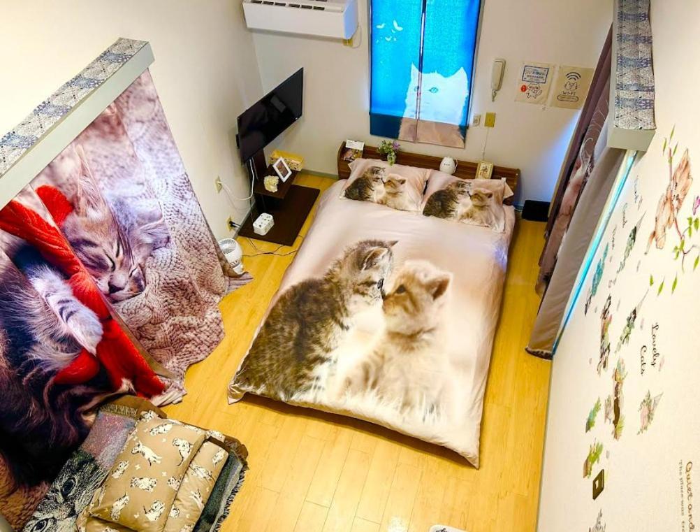 شقة Tokyo Shibuya Shinjyuku Cat House ! المظهر الخارجي الصورة