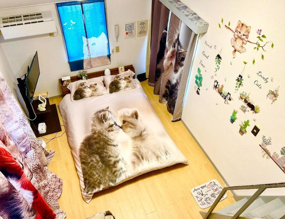 شقة Tokyo Shibuya Shinjyuku Cat House ! المظهر الخارجي الصورة